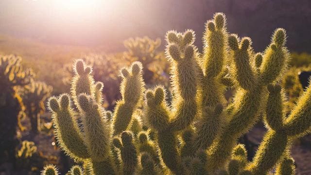 News illustration for EU has 'open mind' on UK customs union debate, says commissioner