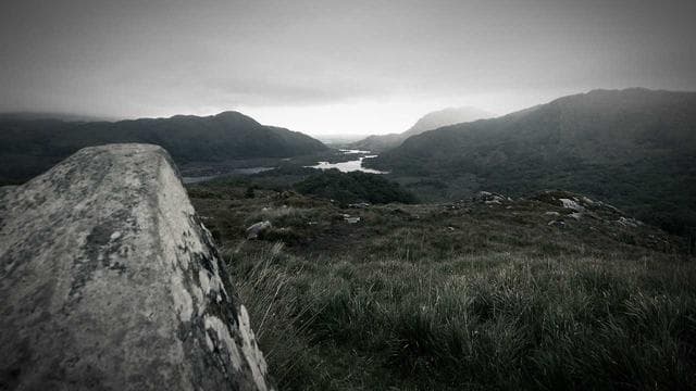 News illustration for Government offers UK adults free AI training for work